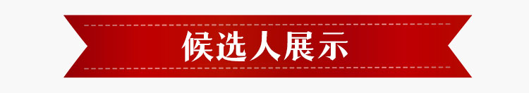 候选人展示