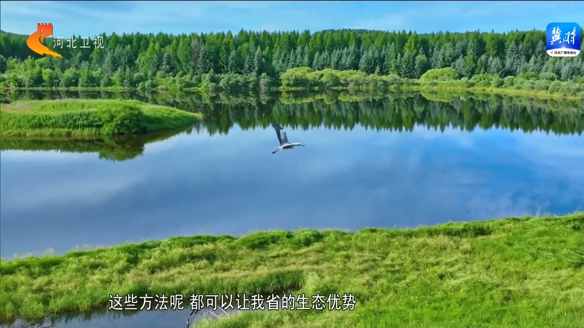 【奋力谱新篇】它们为啥到访越来越多了？答卷就在人与自然和谐共生的美丽画卷中