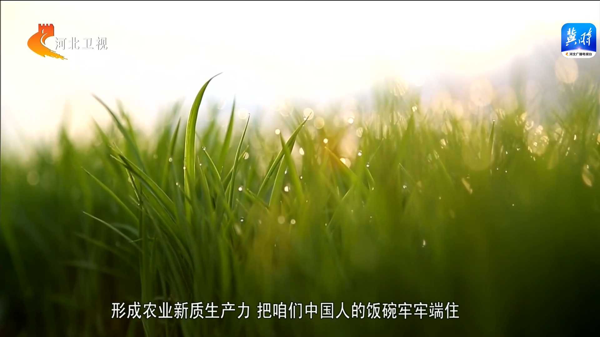 【新闻特写】“种子专家”的两会邂逅