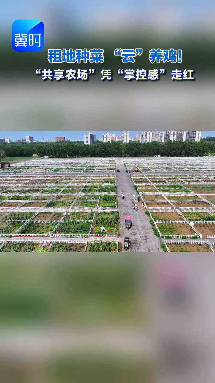 深度丨租地种菜 “云”养鸡！“共享农场”凭“掌控感”走红