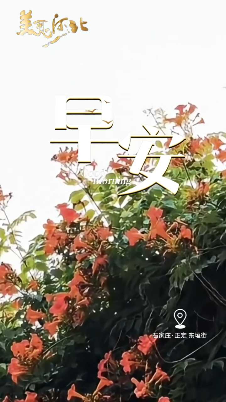 2026年6月11日，早安！晨光漫过街巷，风携着初夏独有的清润缓缓而来。不必追赶步履匆匆的浪潮，稳住自己的节奏，接纳平凡，向阳而行。心怀明朗，奔赴新篇！