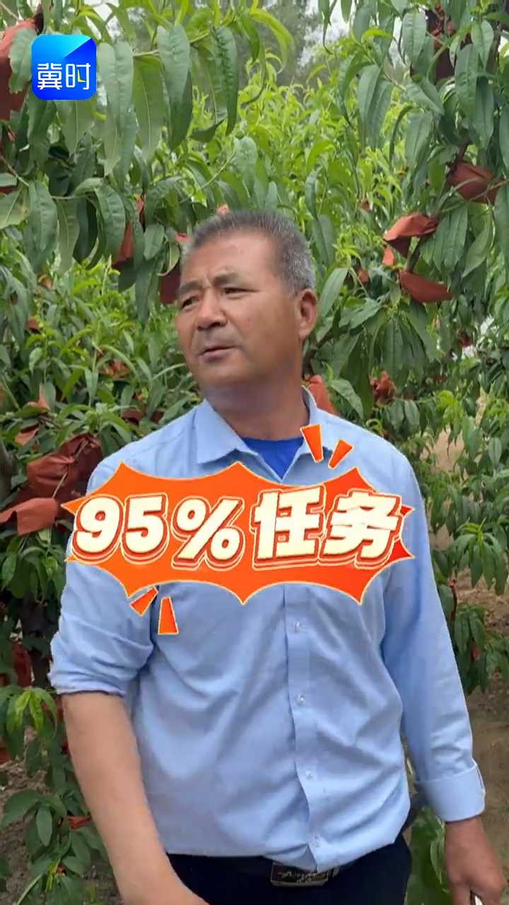 【专家在线】红蜘蛛大爆发！防治抓三点，桃大人人夸