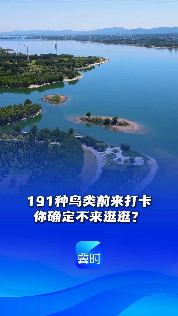 鸟儿的翅膀会说话丨191种鸟类前来打卡，你确定不来逛逛？