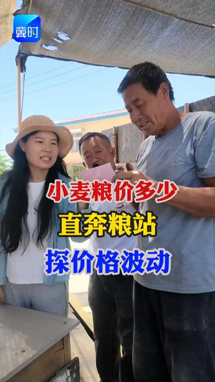 【专家在线】直击粮站实地探访！今年小麦收购价行情起伏几何？