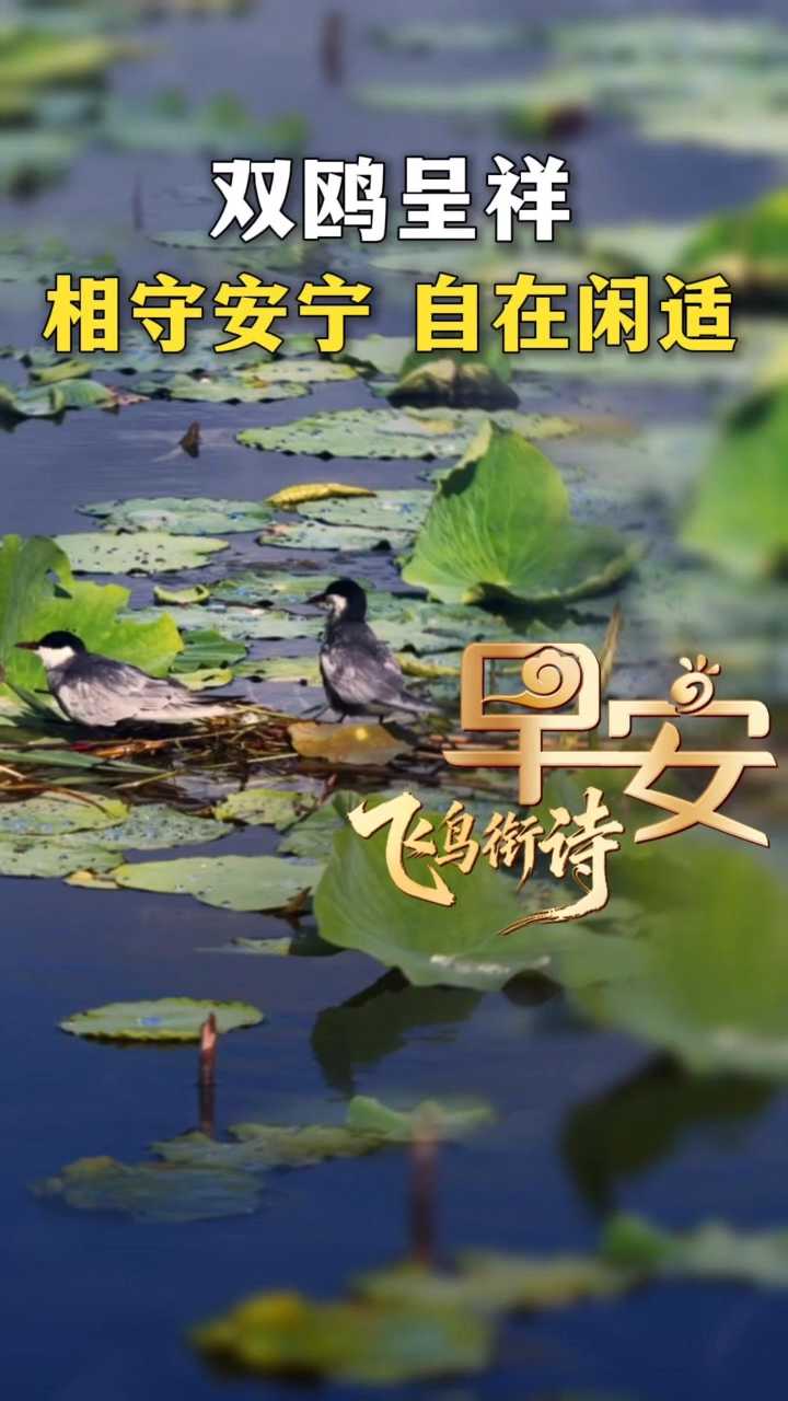 早安丨愿你常有良人相伴 日日舒心清欢