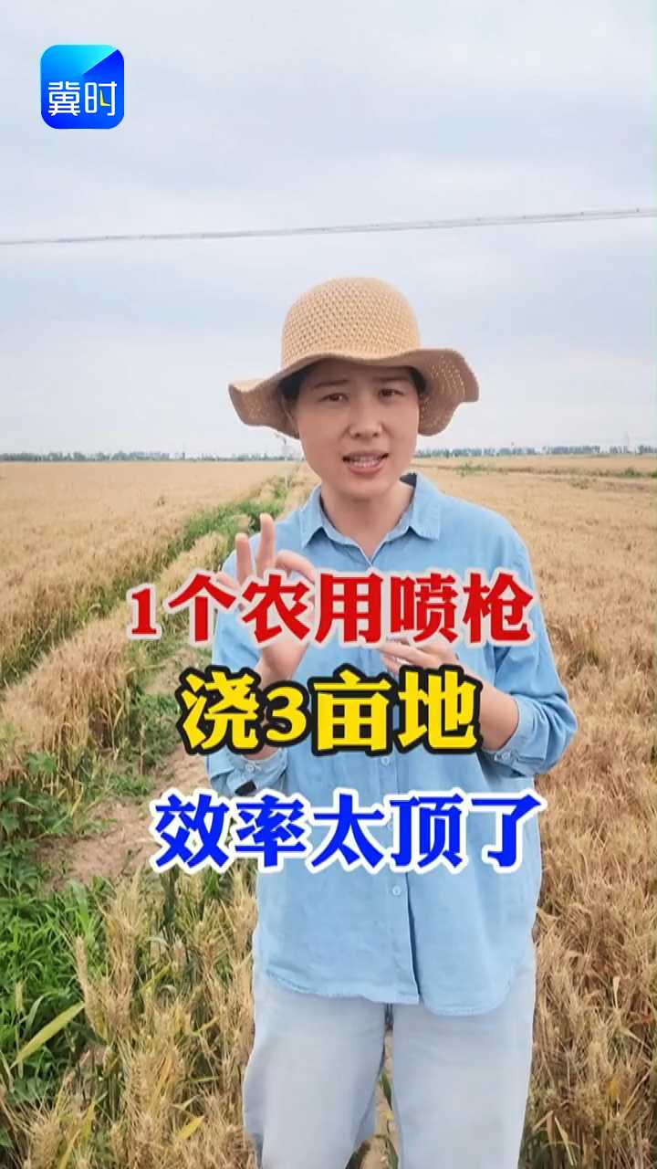 【专家在线】一个农用喷枪可以管三亩地？这浇地效率太顶了！！！