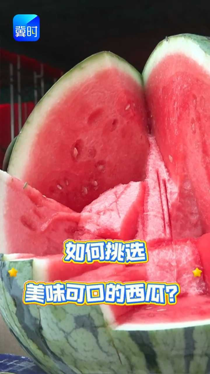 听声、看藤、摸果皮！夏日挑瓜指南来啦~ #西瓜 #挑选