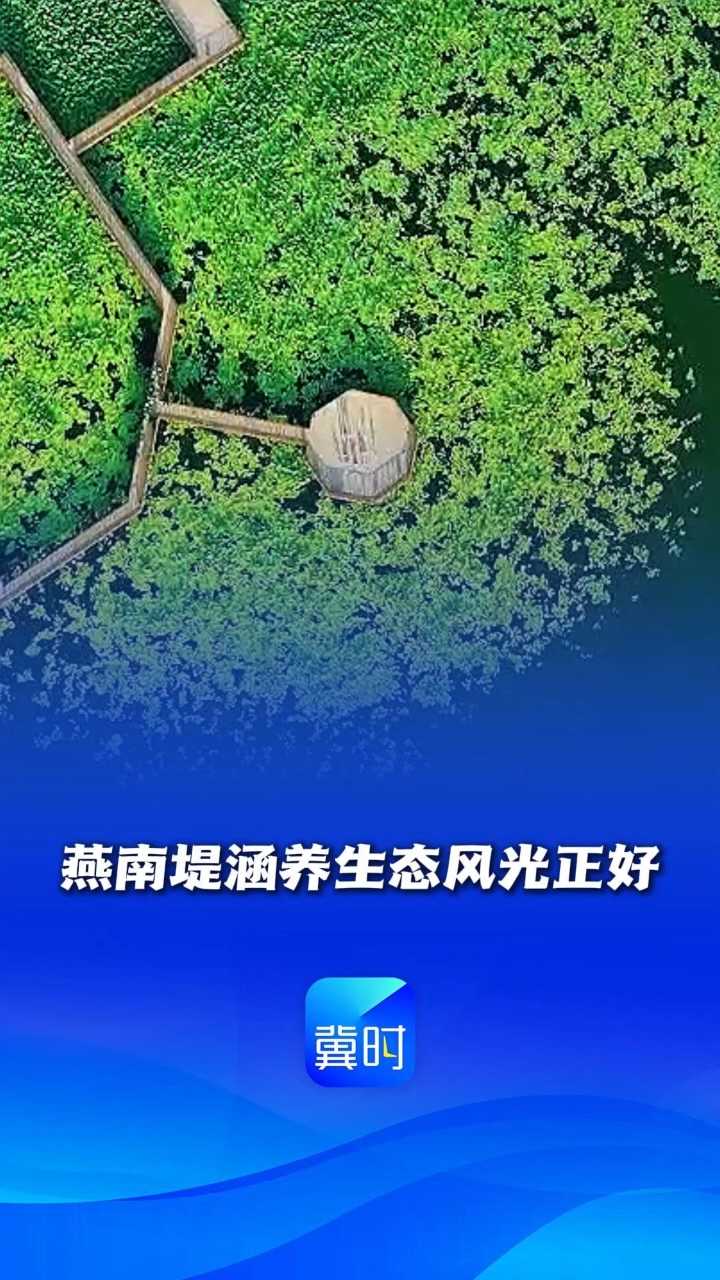 妙不可言 心向往之丨燕南堤涵养生态风光正好 #一起带你看雄安