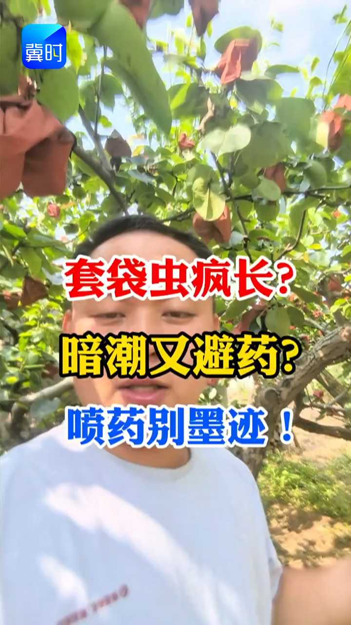 【专家在线】果实套袋后也生虫害？这会儿防治别墨迹