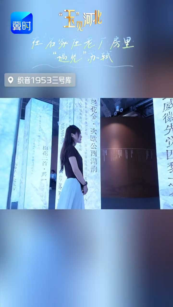 在石家庄老厂房里“遇见”苏轼？反差感拉满！这个“千古风流 燕赵回响”苏轼主题艺术大展处处有惊喜！#玉见河北 #苏轼主题艺术大展 #石家庄