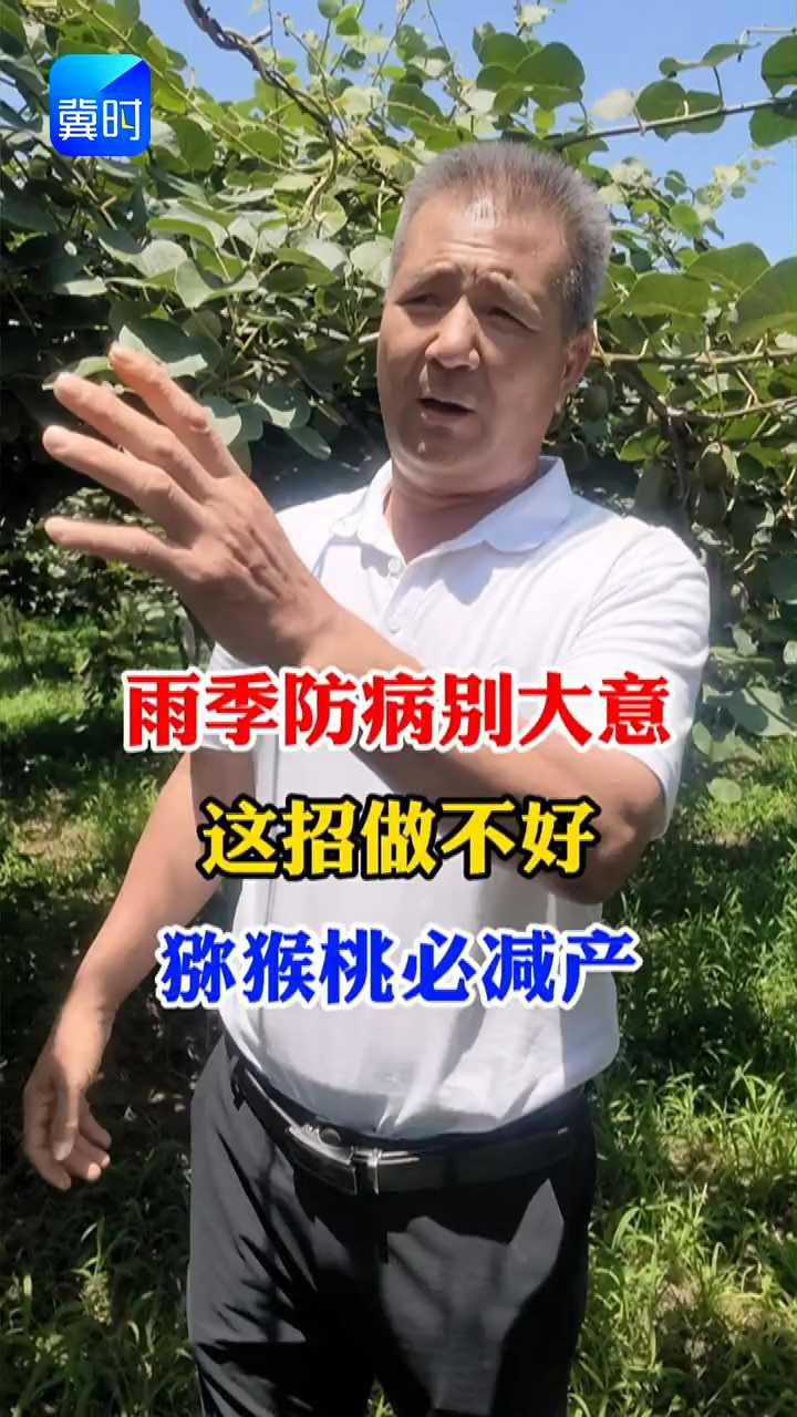 【专家在线】猕猴桃雨季防病别大意！做不好必减产