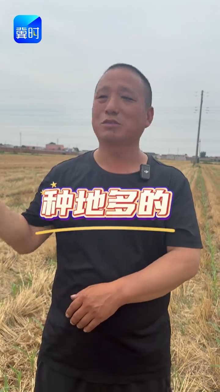 【专家在线】玉米控旺要重视！倒伏绝产，90%农户都踩坑