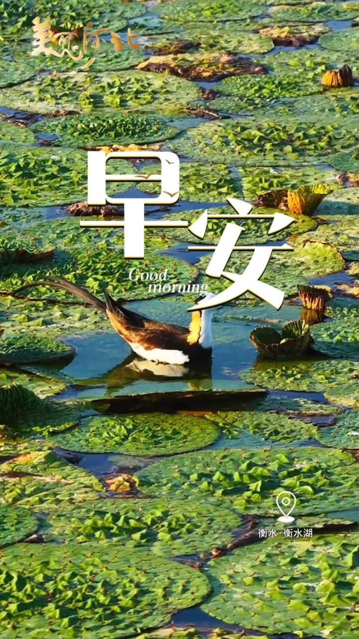 2026年7月9日，早安！温柔藏在每一缕朝阳里，不必追赶旁人脚步，按自己的节奏慢慢前行，愿你今日，烦心事都随风消散！