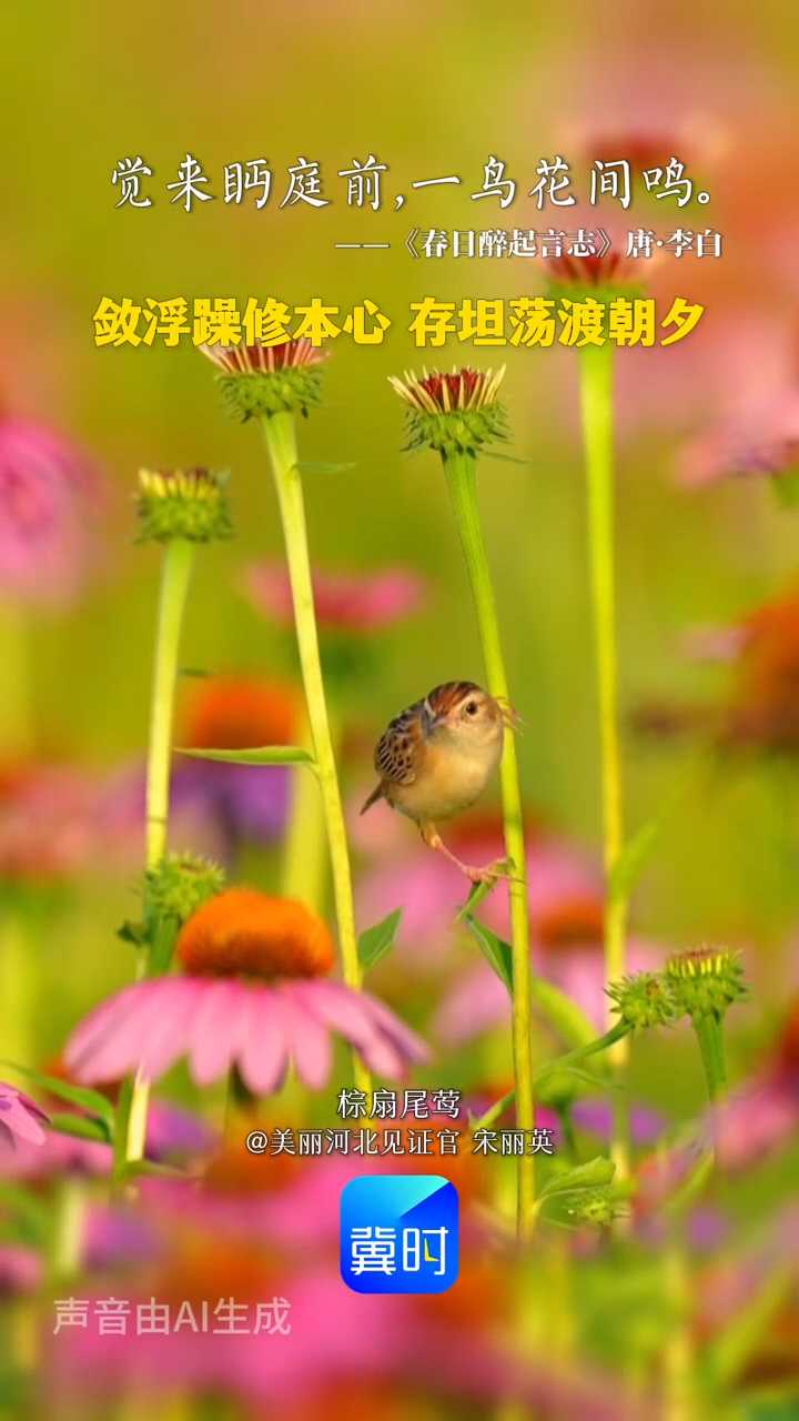 早安丨莺语呈祥，身安无恙，岁岁安康！