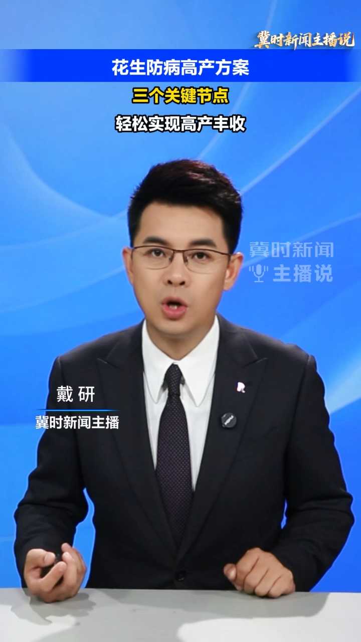 【冀时新闻主播说】花生防病高产方案！三个关键节点，轻松实现高产丰收