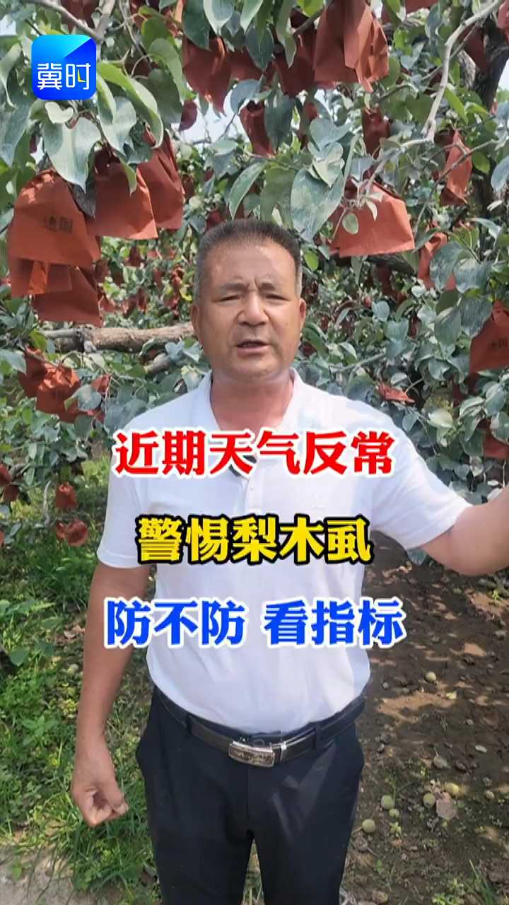 【专家在线】近期天气反常！梨农警惕梨木虱