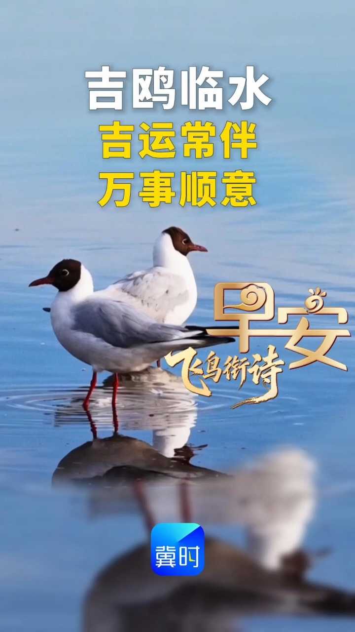 早安丨吉运常伴，万事顺意