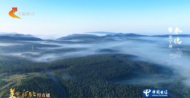 美丽河北慢直播丨云雾漫卷，林海莽莽，天地共绘美丽的塞罕坝 承德 清晨 2026/07/31#这么近，那么美，周末到河北