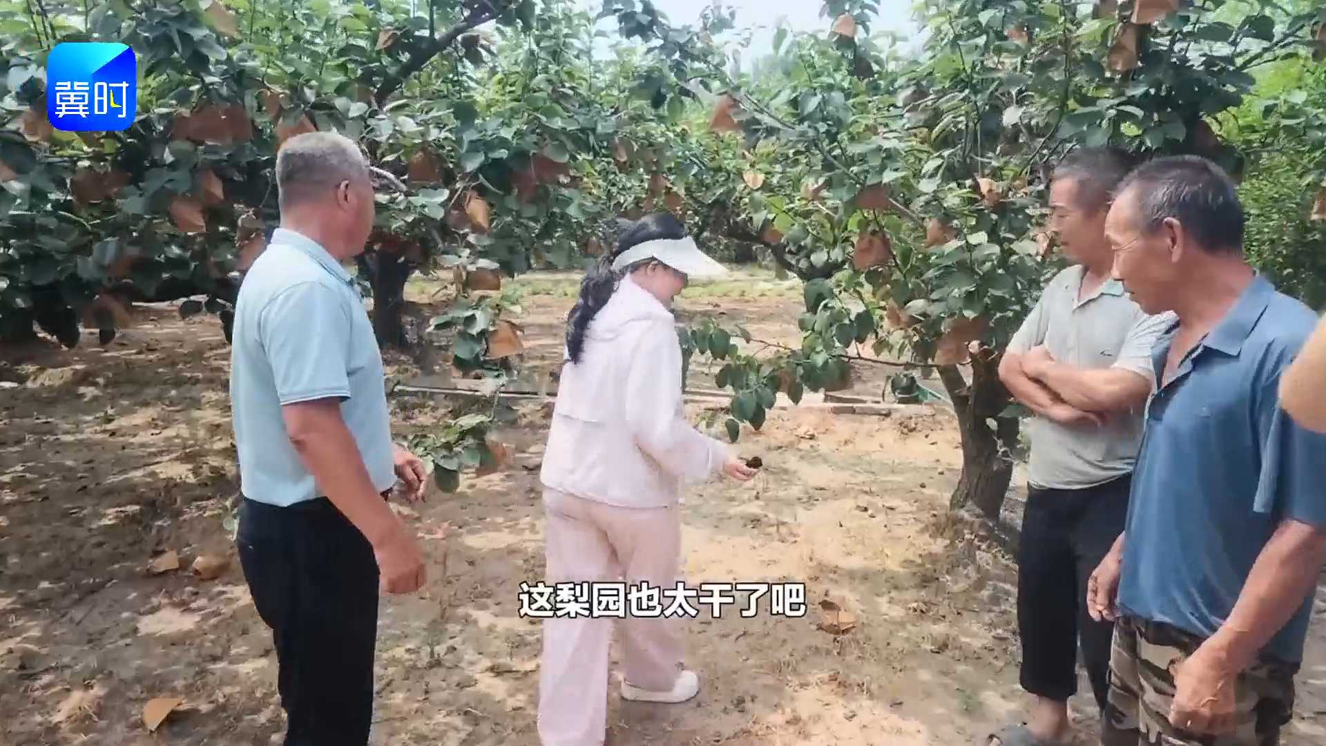【专家在线】果园提质增产，千万别缺水！三点好处一次讲透