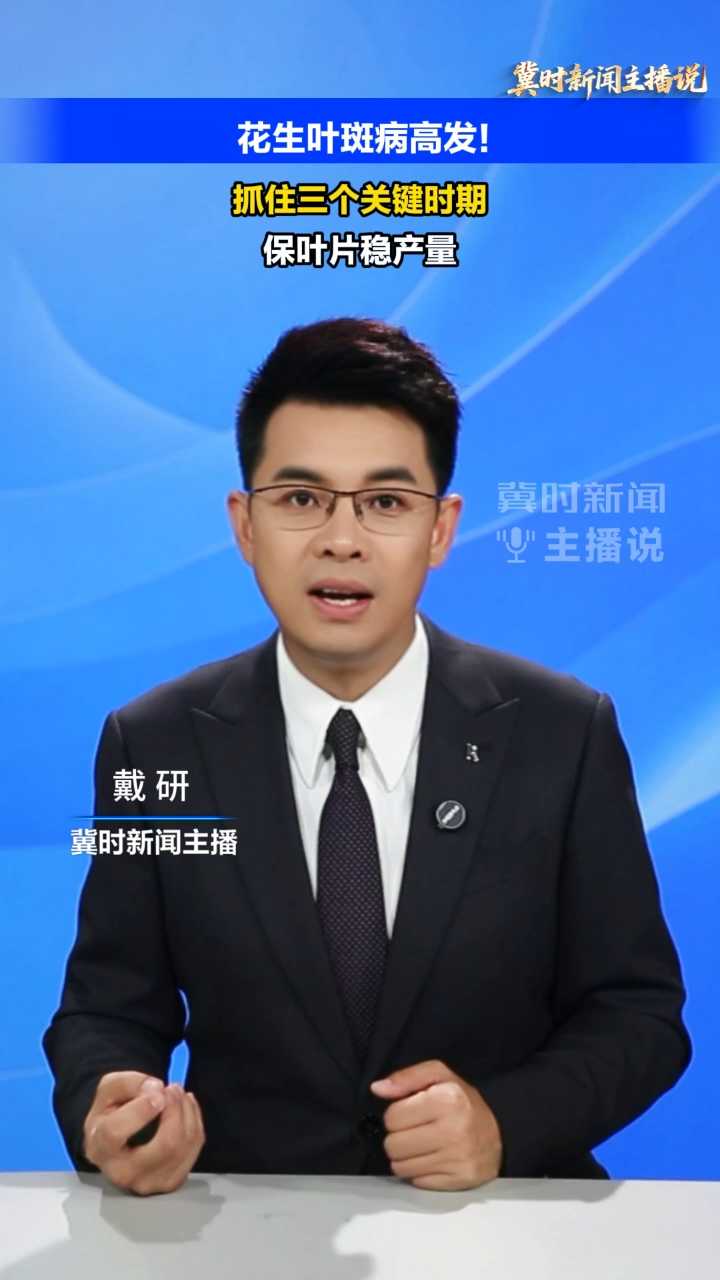 【冀时新闻主播说】花生叶斑病高发！抓住三个关键时期，保叶片稳产量