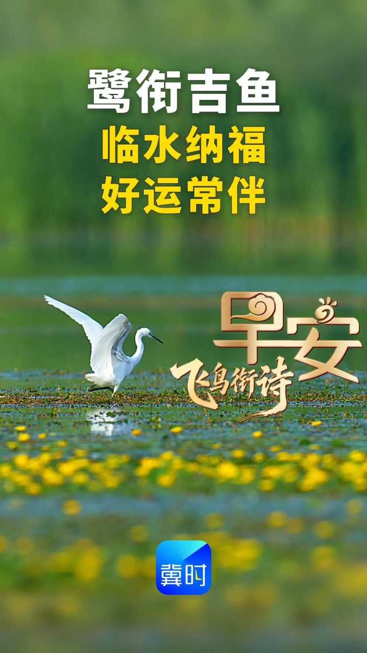 早安丨邻水纳福，好运常伴
