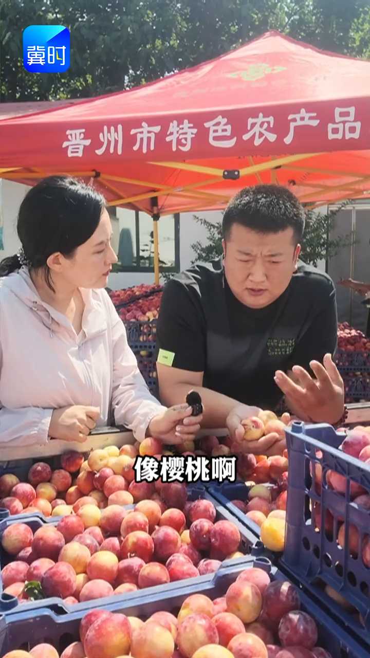 【专家在线】鲜果分两种，哪种卖价高？看看客商怎么说