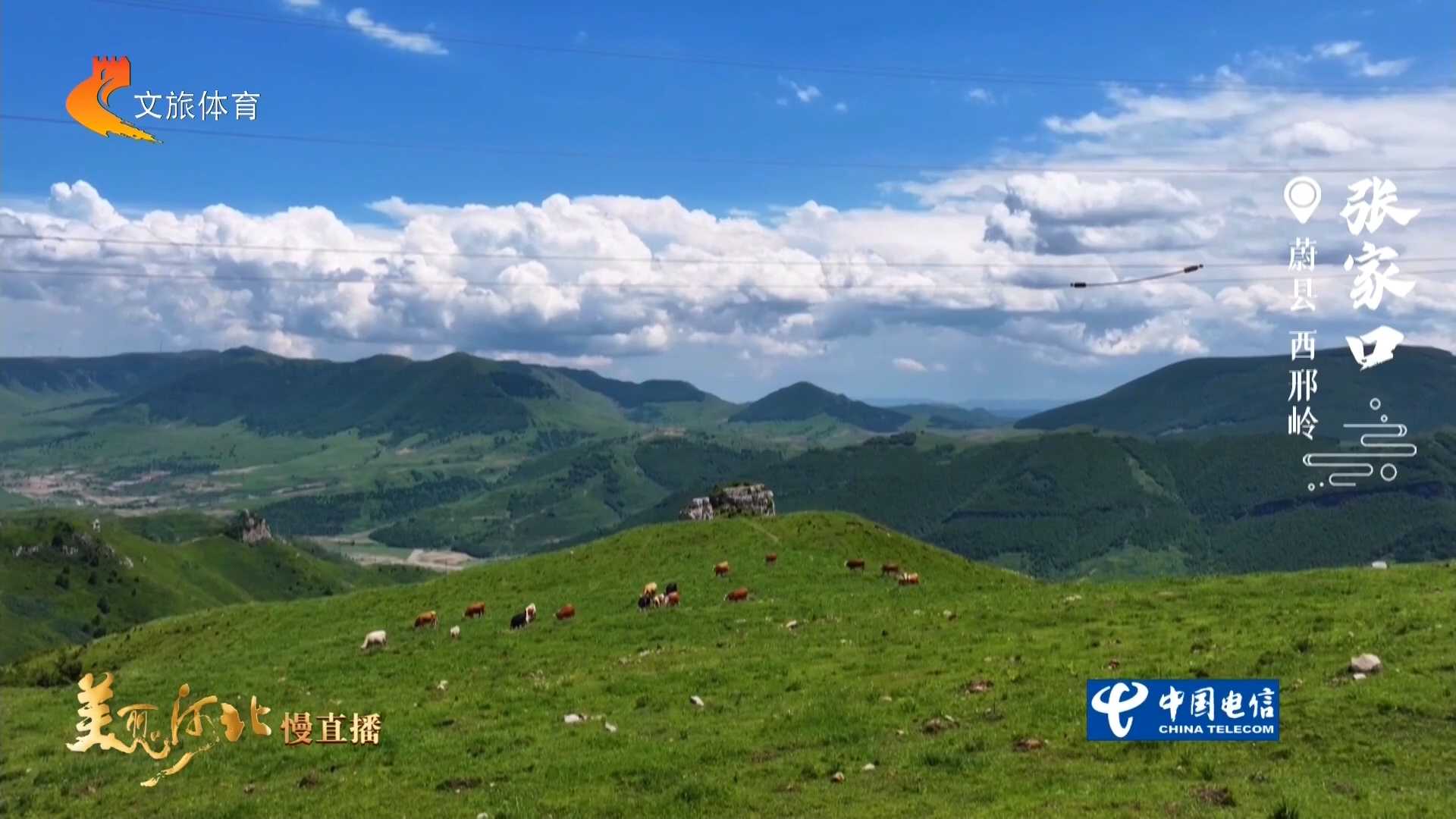 美丽河北见证官吴长新作品欣赏丨西邢岭牛羊满坡，翠峰绵延！