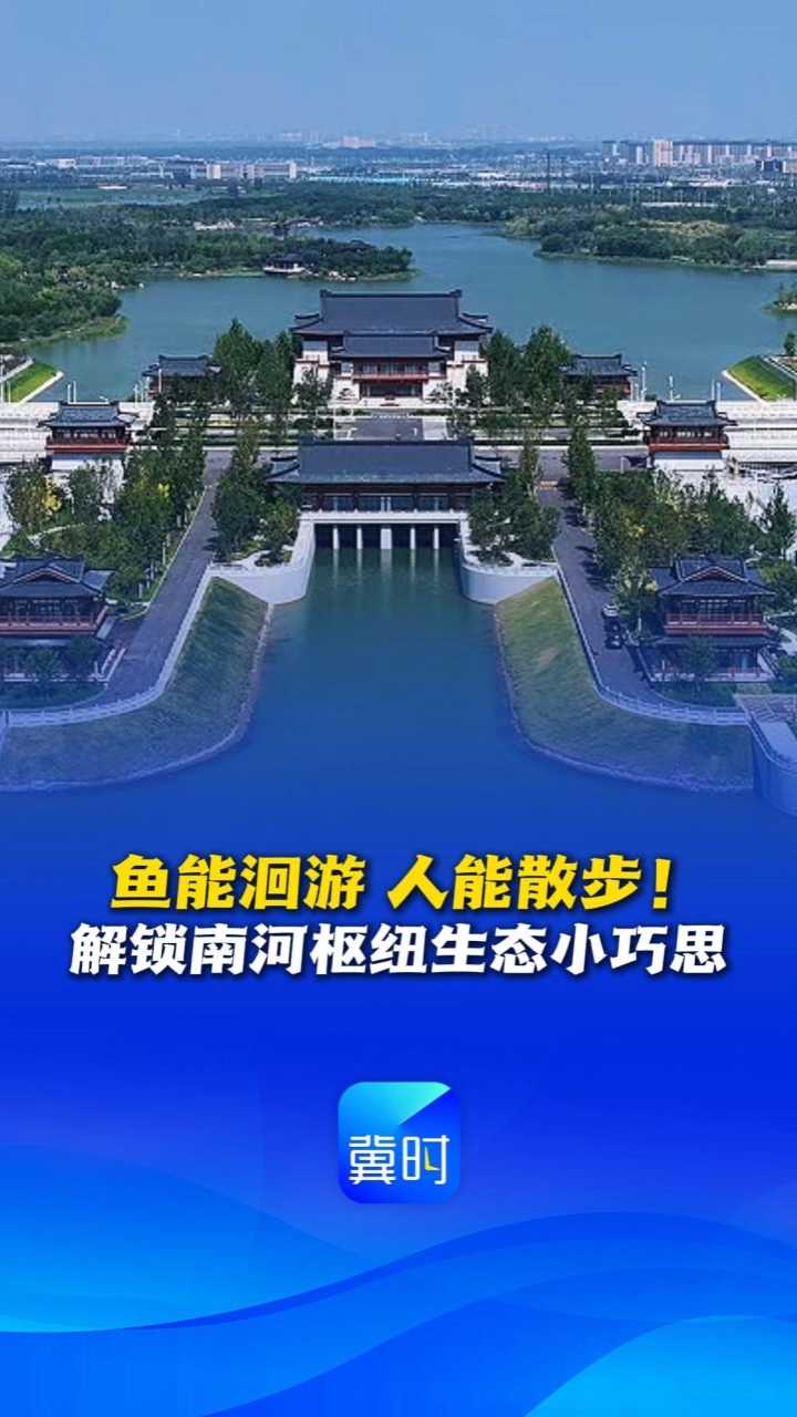 和谐共生 | 鱼能洄游、人能散步！解锁南河枢纽生态小巧思 #和谐共生