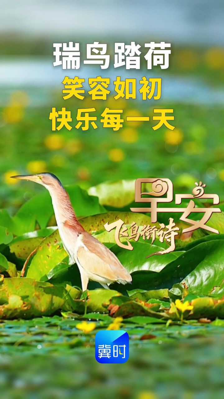 早安丨笑容如初 快乐每一天