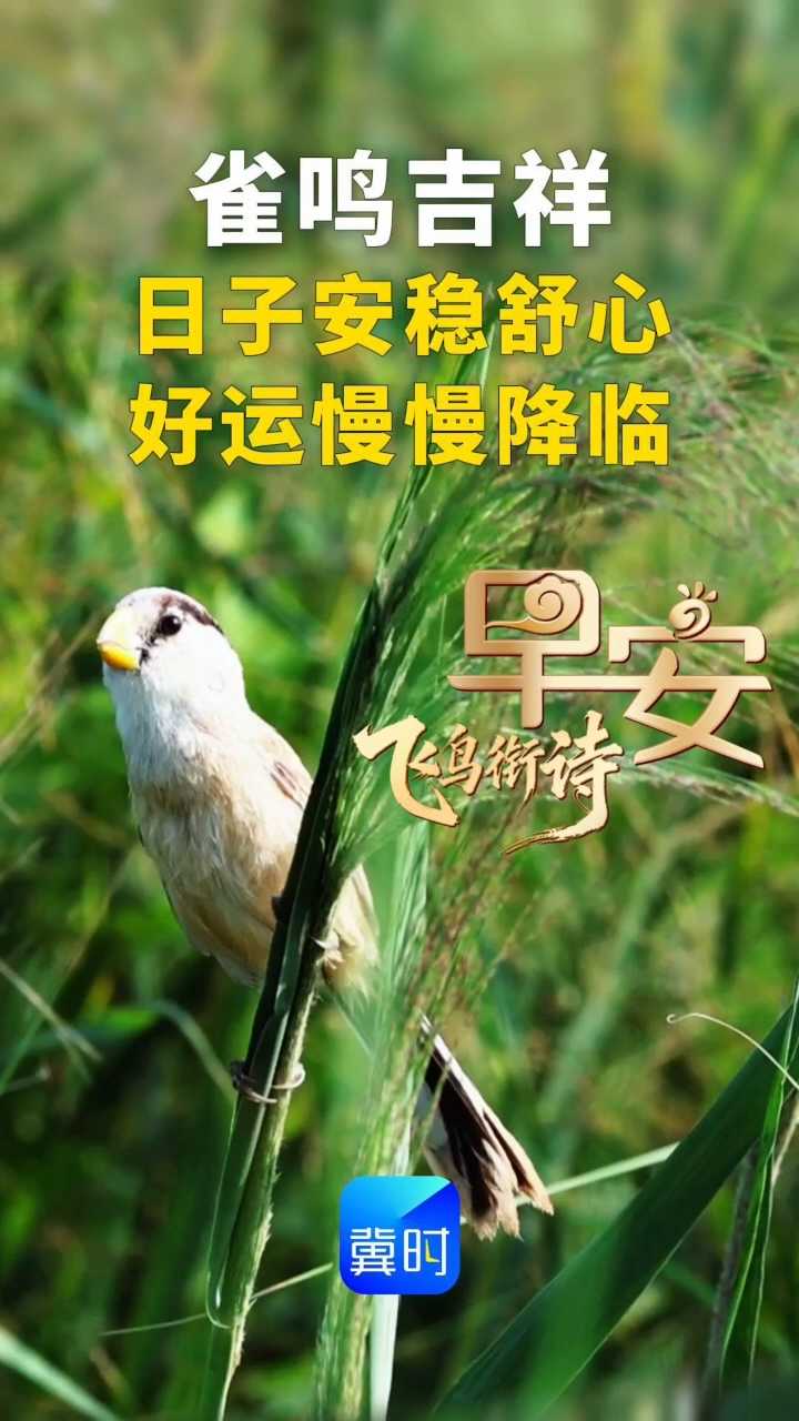 早安丨日子安稳舒心，好运慢慢降临！