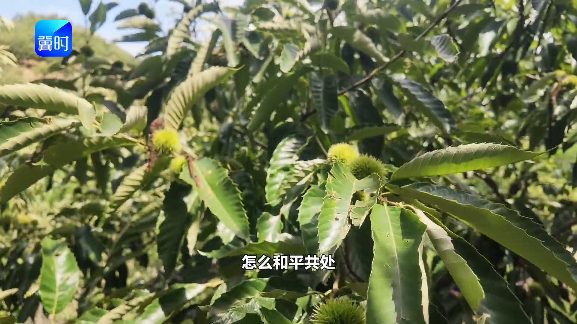 【专家在线】种地等于做买卖！失信难赚长久钱，思路不对白费劲