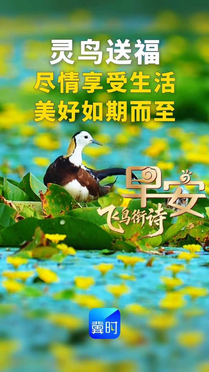 早安丨尽情享受生活，美好如期而至！