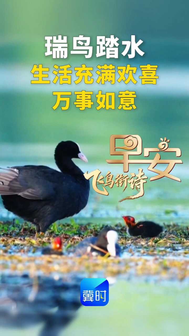 早安丨生活充满欢喜，万事如意