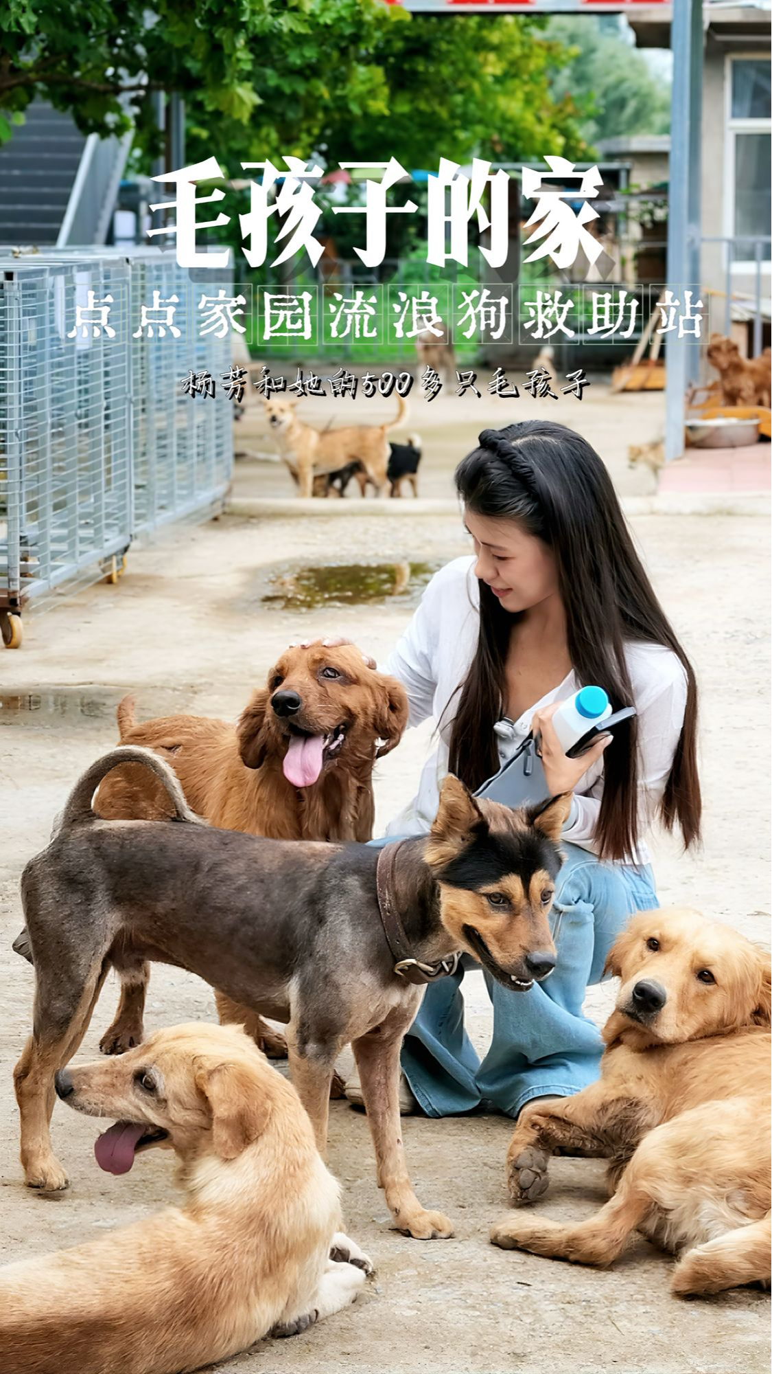 在石家庄有一个流浪动物救助基地，这里是杨芳为她救助的500多只残疾、被弃的流浪猫狗撑起的家。毛孩子们因不完美被抛弃，又因遇见她重获一整个家 #媒体原创 #救助流浪狗 #流浪狗不再流浪
