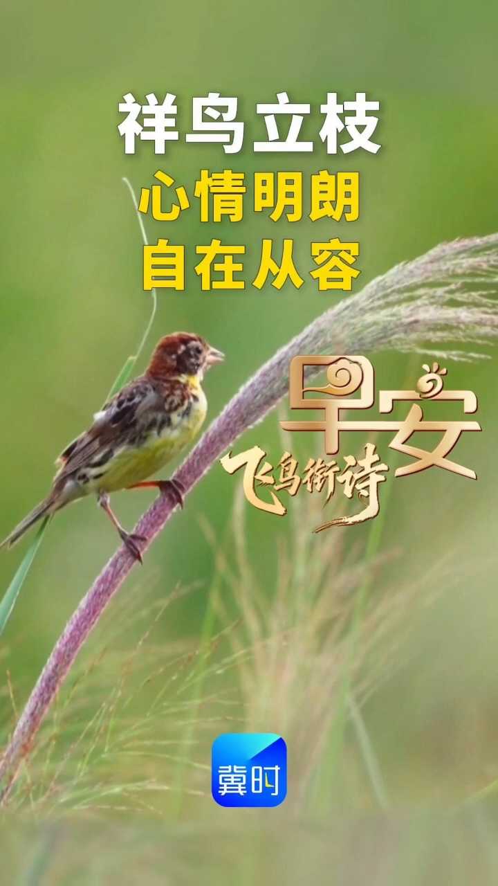 早安丨心情明朗，自在从容！