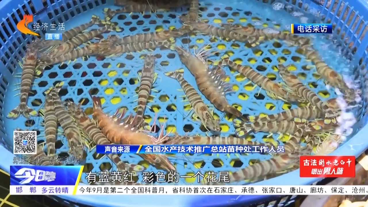 今日调查丨名称混用“乱花迷眼” 错误认知从何而来？；电商平台“堆名蹭流”频现  治理需“握指成拳”