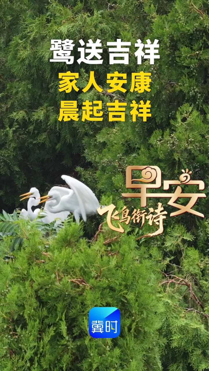 早安丨家人安康 晨起吉祥