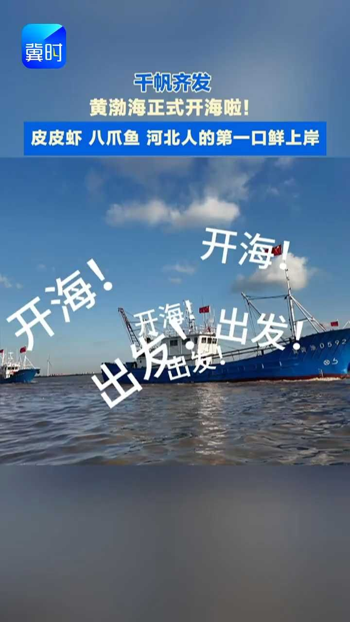黄渤海今天正式开海，皮皮虾、八爪鱼...河北人的一口鲜今天上岸，你尝到了吗？
