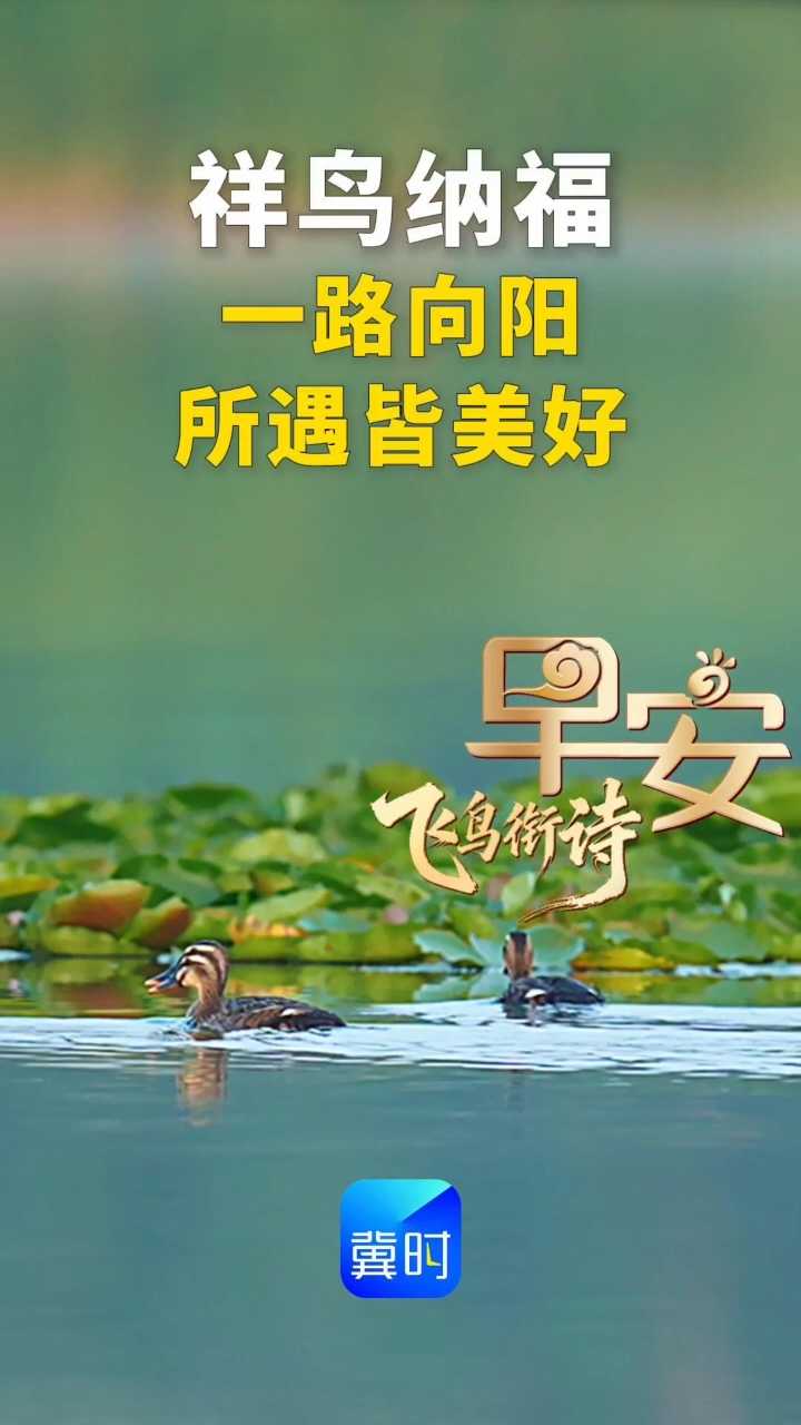 早安丨祥鸟纳福，愿您一路向阳，所遇皆美好