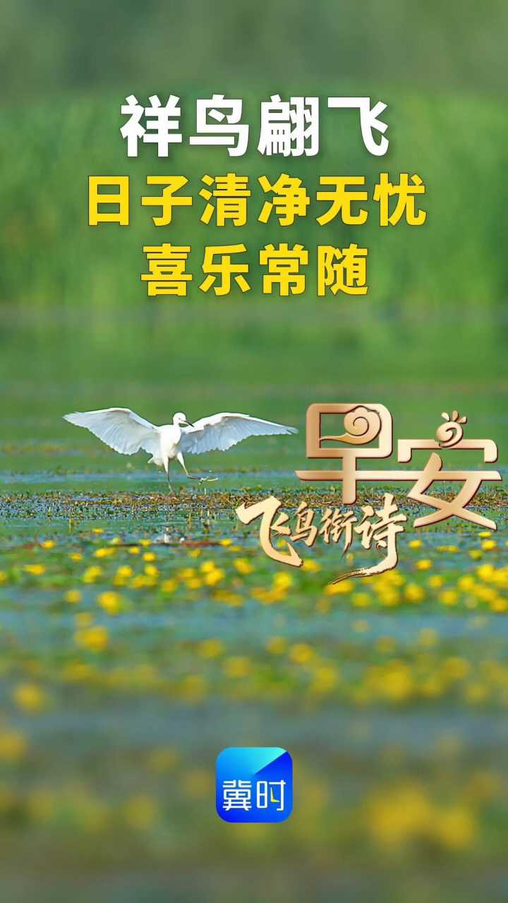 早安丨愿您日子清静无忧，喜乐常随