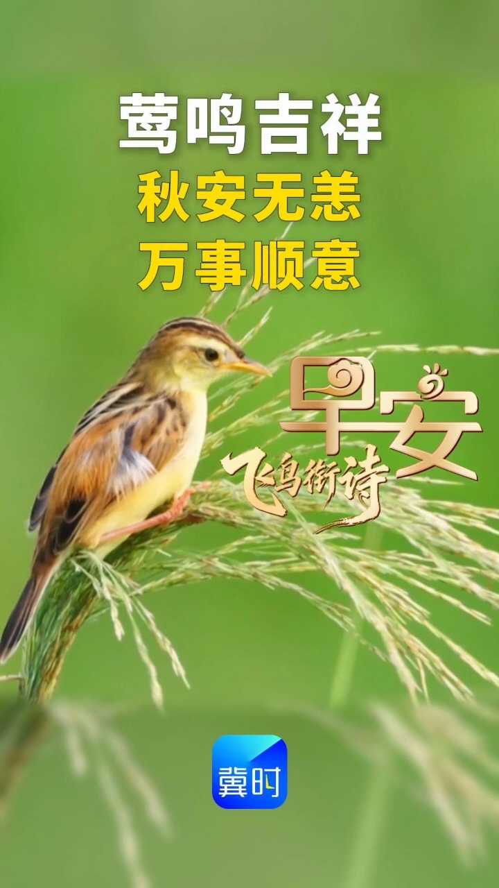早安｜莺鸣吉祥，秋安无恙，万事顺意