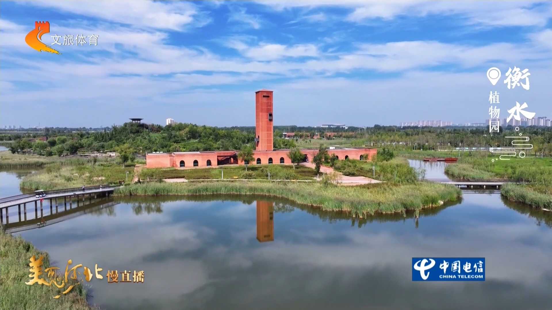 美丽河北见证官郭宪芳作品欣赏丨衡水植物园一泓碧波，岸翠流芳~