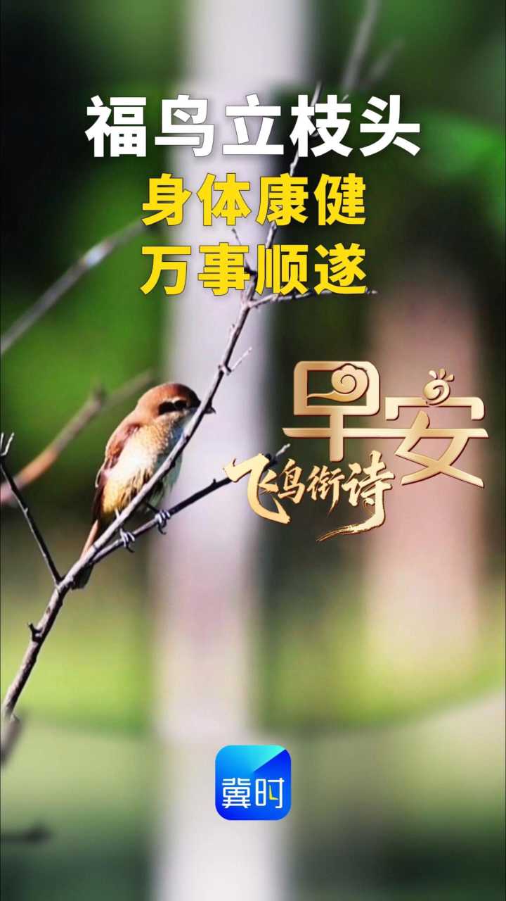 早安丨身体康健 万事顺遂