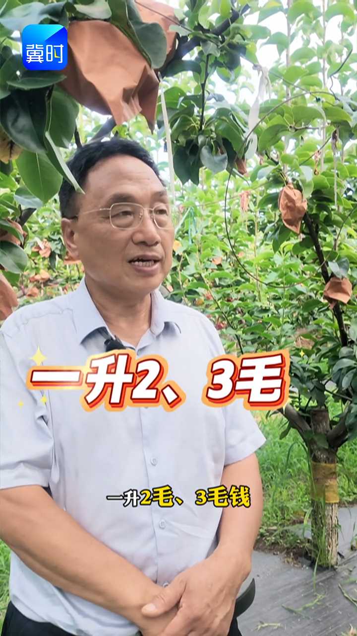 【专家在线】梨树得了褐斑病，专家有妙招！一升2毛钱，生产有机果