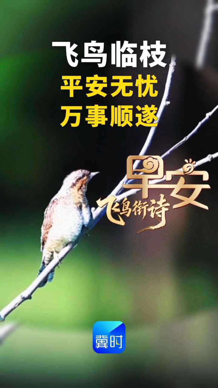 早安丨平安无忧 万事顺遂