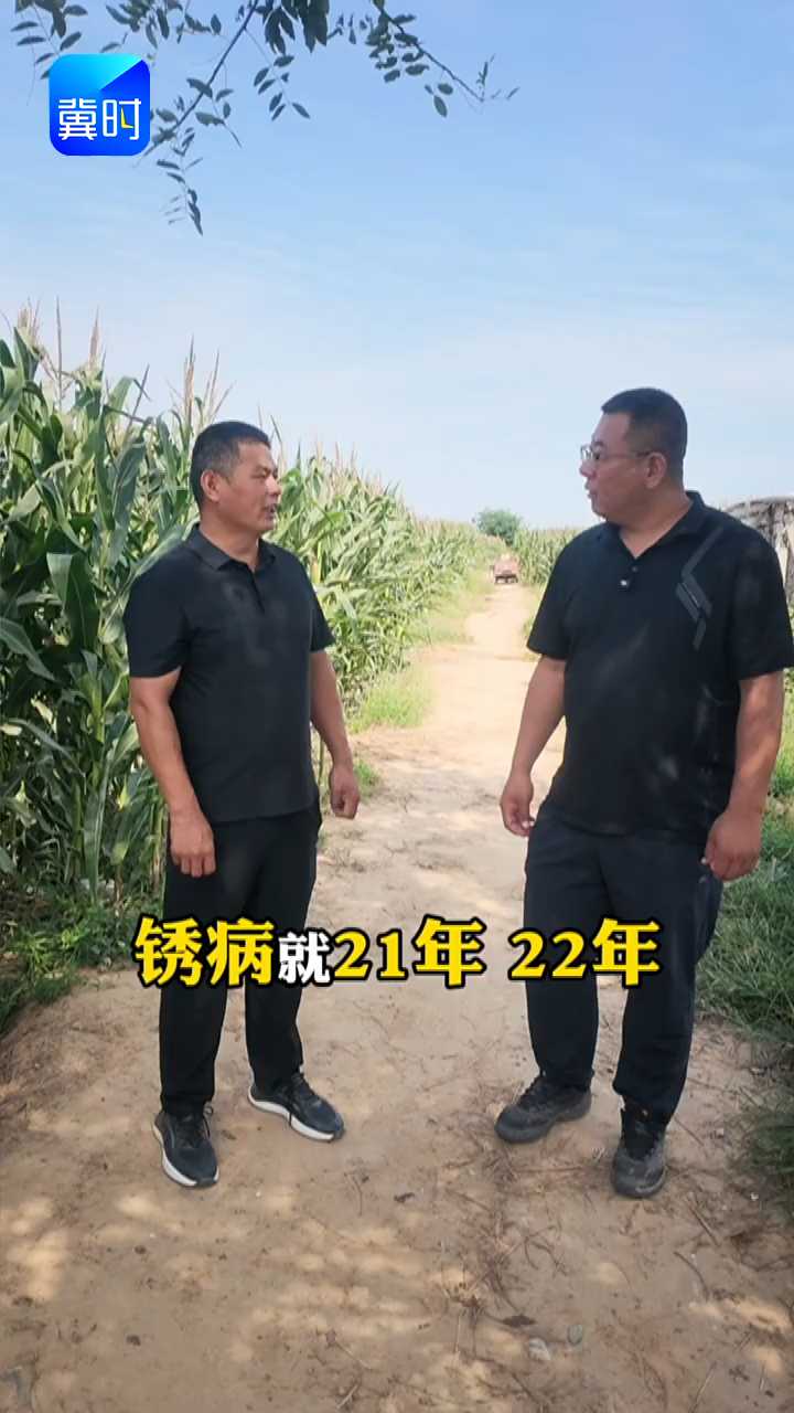 【专家在线】玉米锈病或将大爆发！记住这两个防治措施