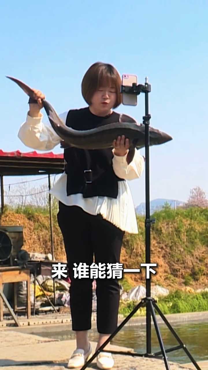 【夯爆了，新农人！】人生副本：被亲爹扫地出门后，我靠卖鱼杀回全村