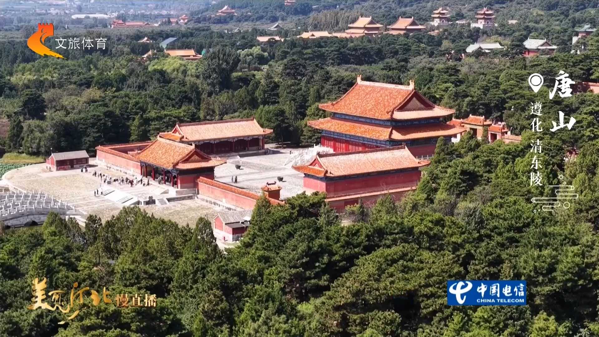 美丽河北见证官杨建明作品欣赏丨红墙映秋林，品读清东陵的岁月诗篇