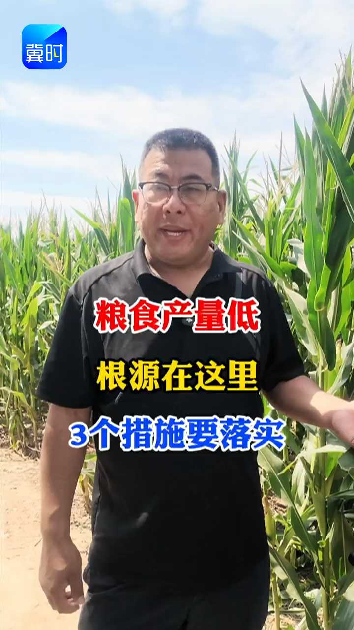 【专家在线】粮食产量低？根源在这里，三个措施要落实！