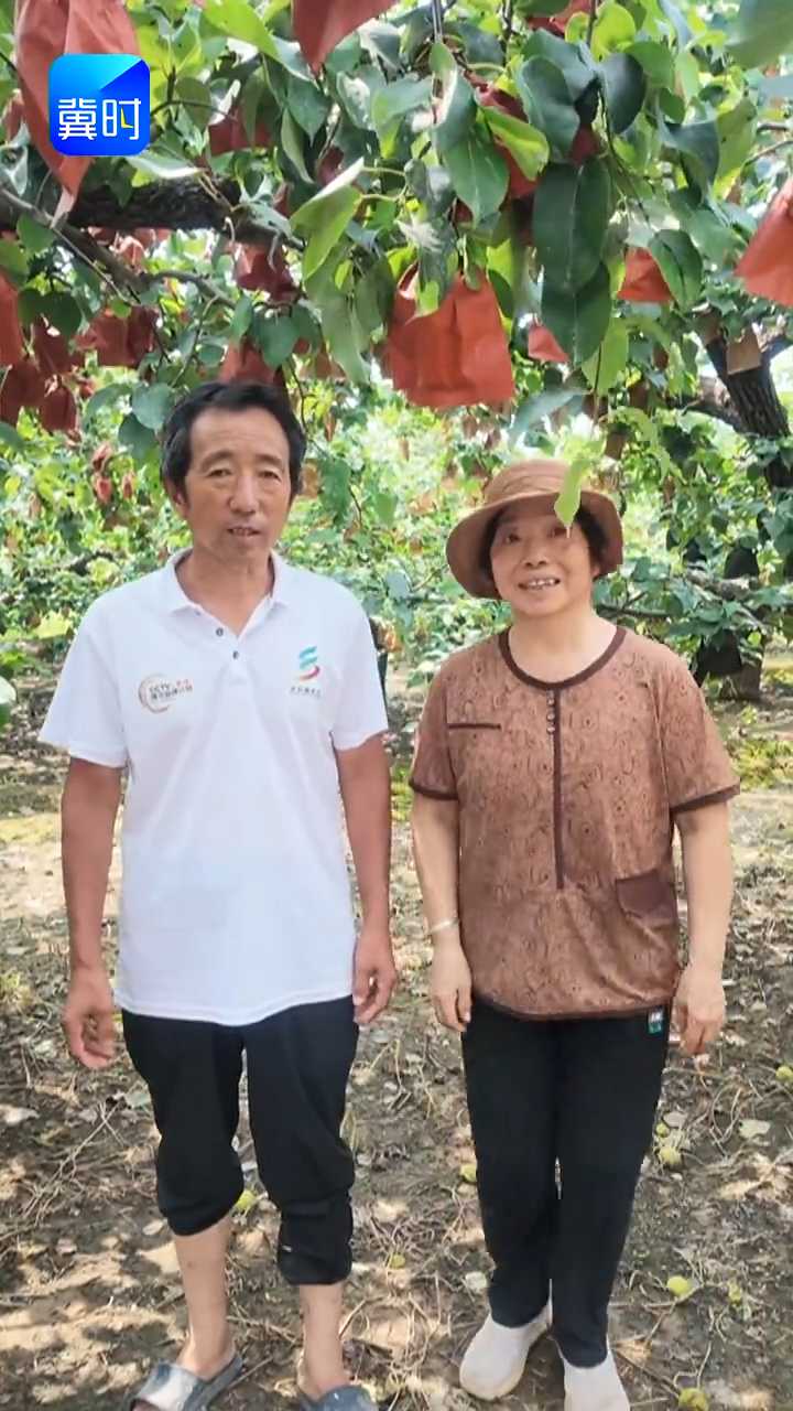 【专家在线】雪花梨、鸭梨还有秋月梨，都都都上新了！色亮梨甜品质棒